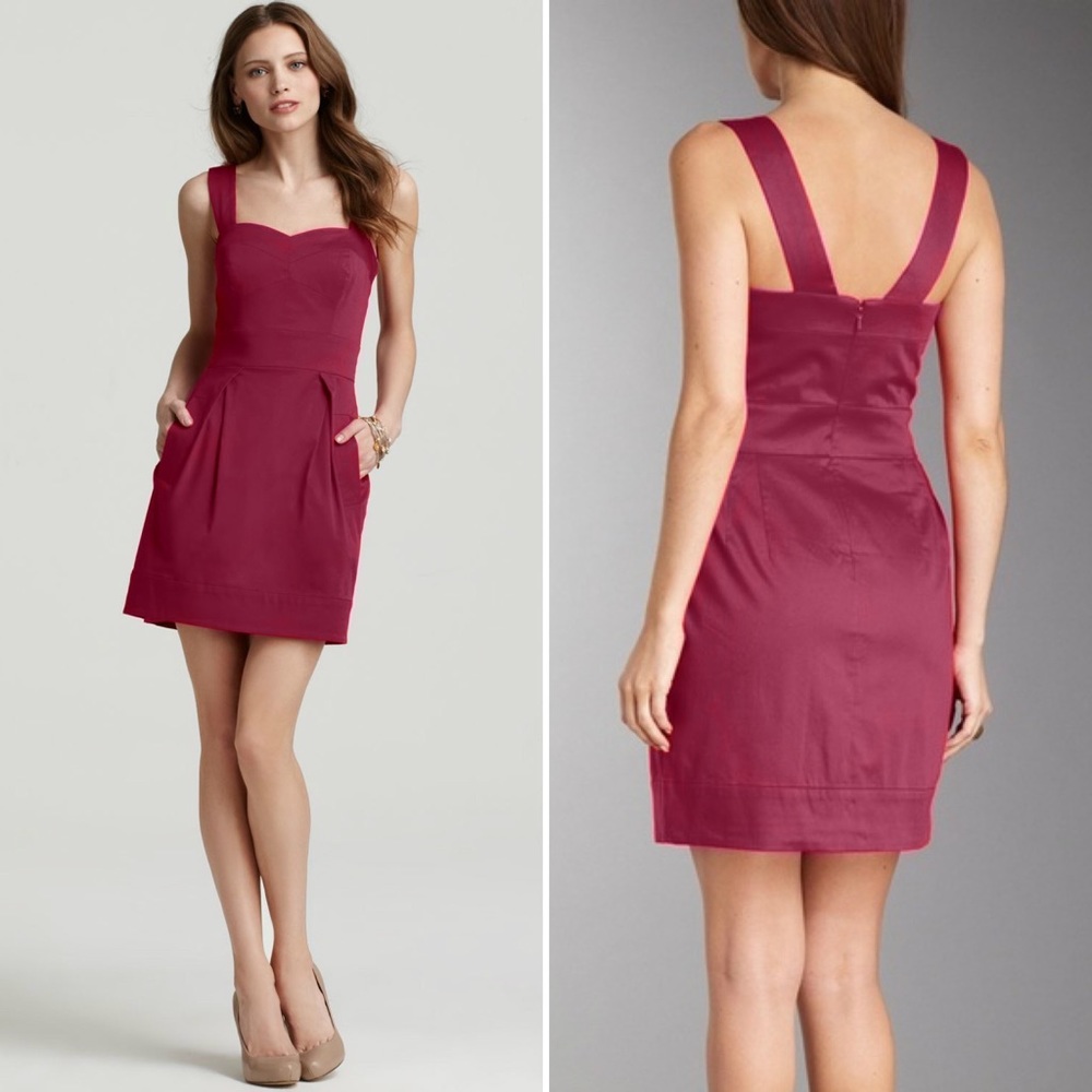 French Connection Dress in Raspberry